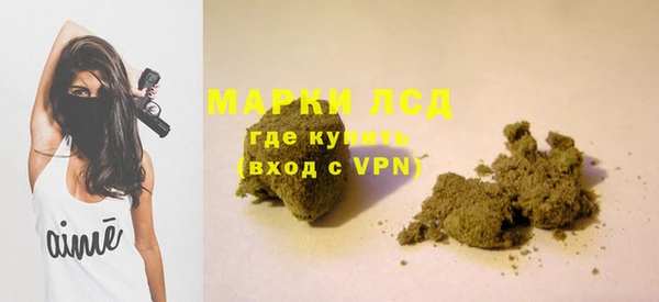 гидропоника Алзамай