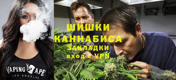 гидропоника Алзамай