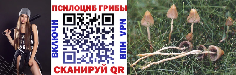 Галлюциногенные грибы ЛСД  Дегтярск 